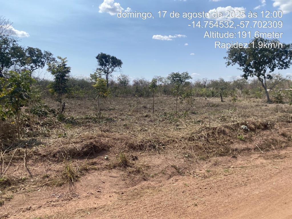 Grupo é preso por desmate ilegal em área de reserva ambiental