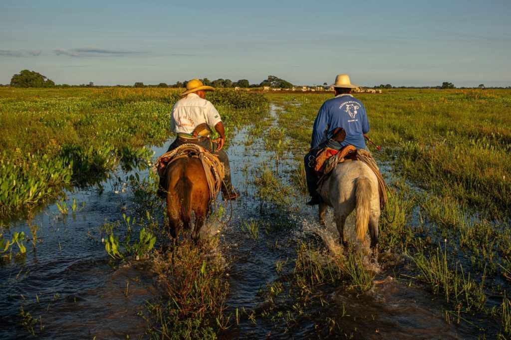 Pantanal busca visibilidade na COP30 com carta e evento próprio