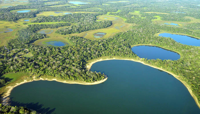 Aprovado PL para conservação e uso sustentável do Pantanal