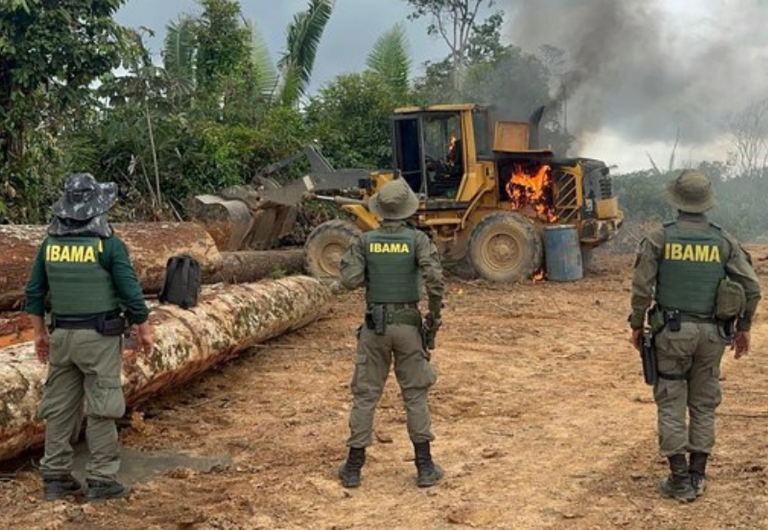 Desmatamento registra queda de 11% na Amazônia Desmatamento registra queda de 11% na Amazônia