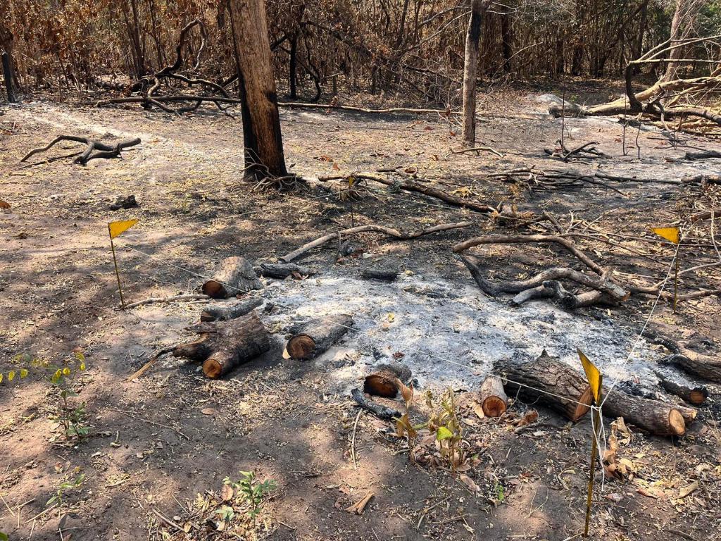 Incêndio criminoso gera multa de R$ 80 milhões em MT