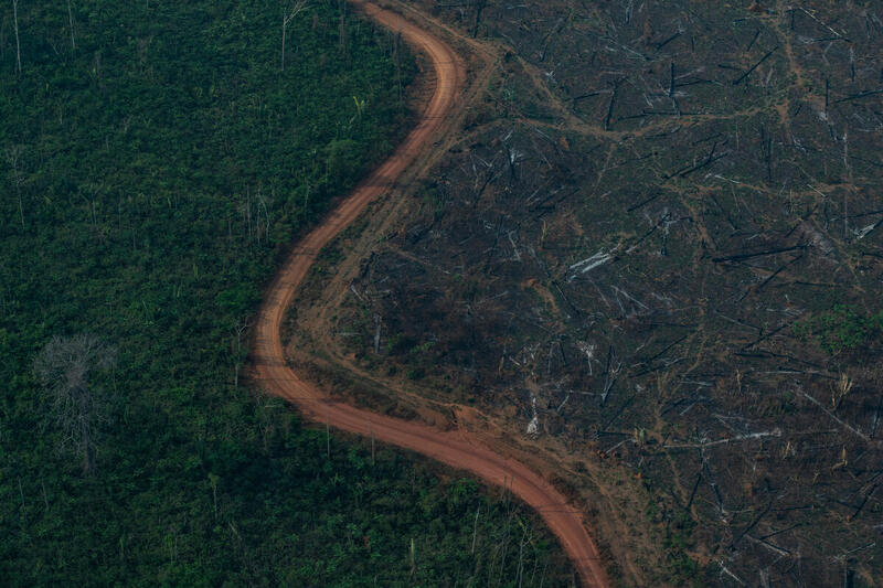 MT concentra 56% da degradação de toda a Amazônia Legal