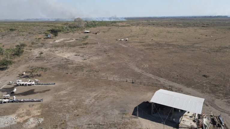 PF deflagra operação contra grilagem de terras no Pantanal PF deflagra operação contra grilagem de terras no Pantanal