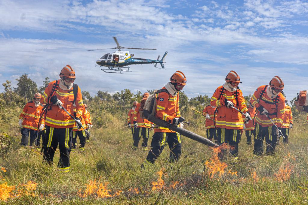 Mesmo com redução histórica, MT segue em alerta para incêndios florestais
