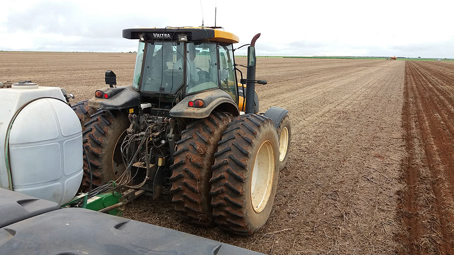 Solo fértil reduz adubo sem perder produtividade Solo fértil reduz adubo sem perder produtividade