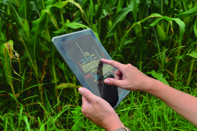 Agrizone mostra na COP30 que agro sustentável já está em campo