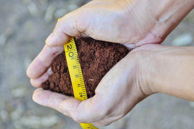 COP30: Plataforma apoia manejo do solo e revela tendência de carbono