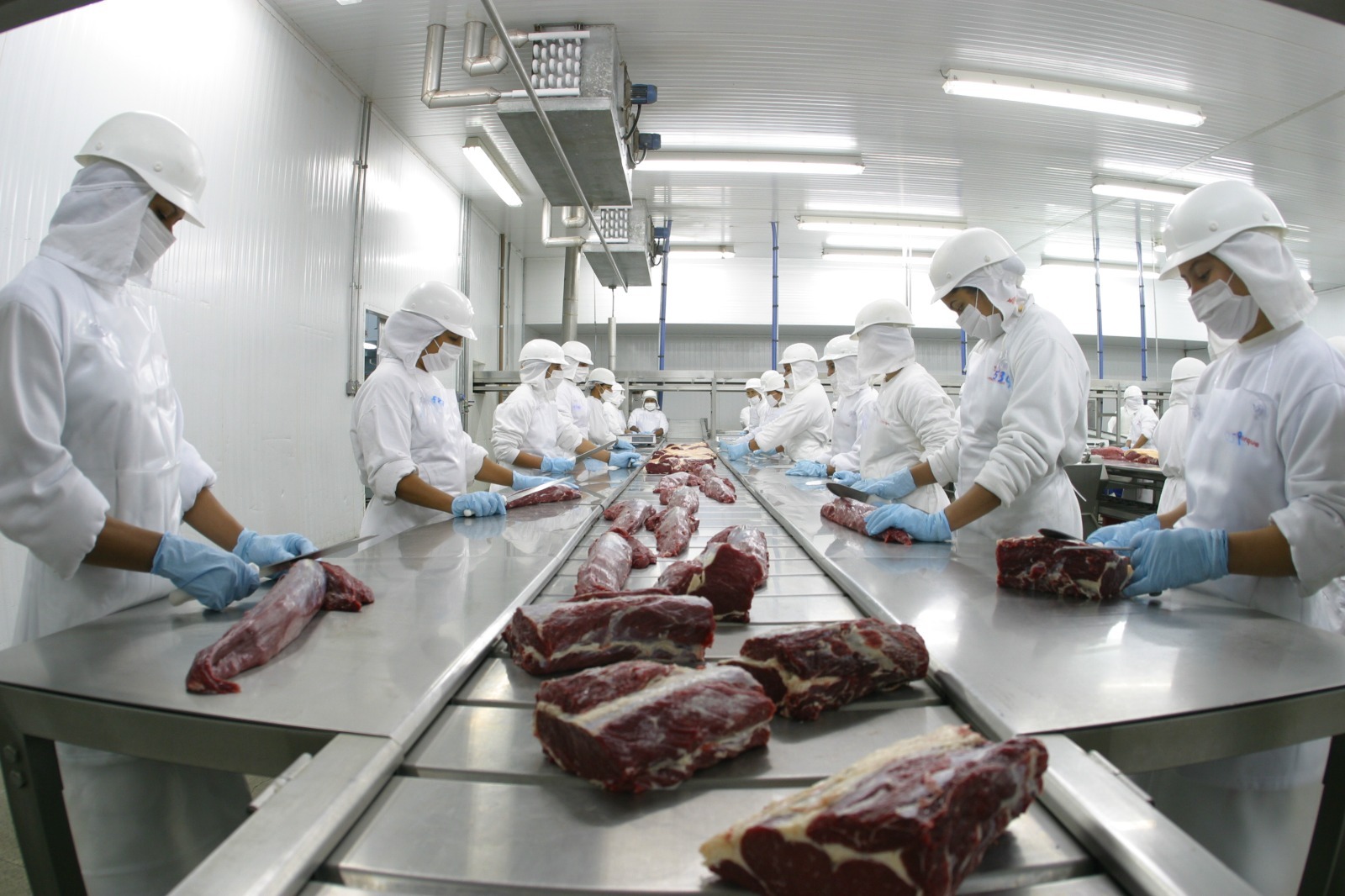 Rastreabilidade impulsiona recorde de produção de carne em MT Rastreabilidade impulsiona recorde de produção de carne em MT