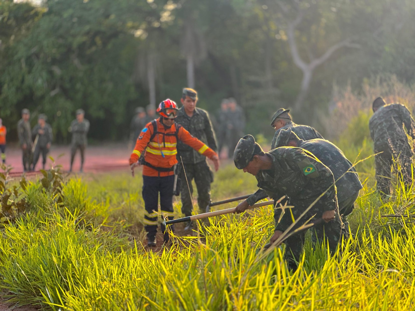 MS registra redução histórica de incêndios no Pantanal em 2025
