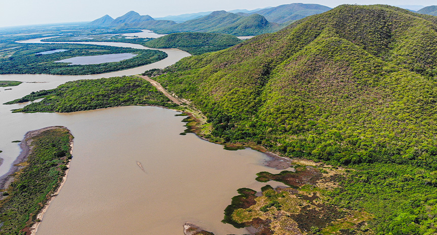 MPF processa 29 empresas e Ibama por poluição do Pantanal MPF processa 29 empresas e Ibama por poluição do Pantanal