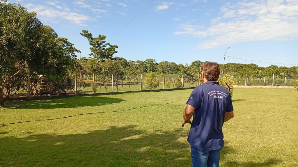 Mapa confirma gripe aviária em MT e estado reforça contenção