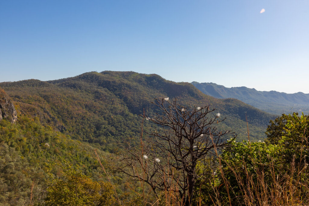 Produtores goianos recebem R$ 8,2 mil por não desmatarem Cerrado Produtores goianos recebem R$ 8,2 mil por não desmatarem Cerrado