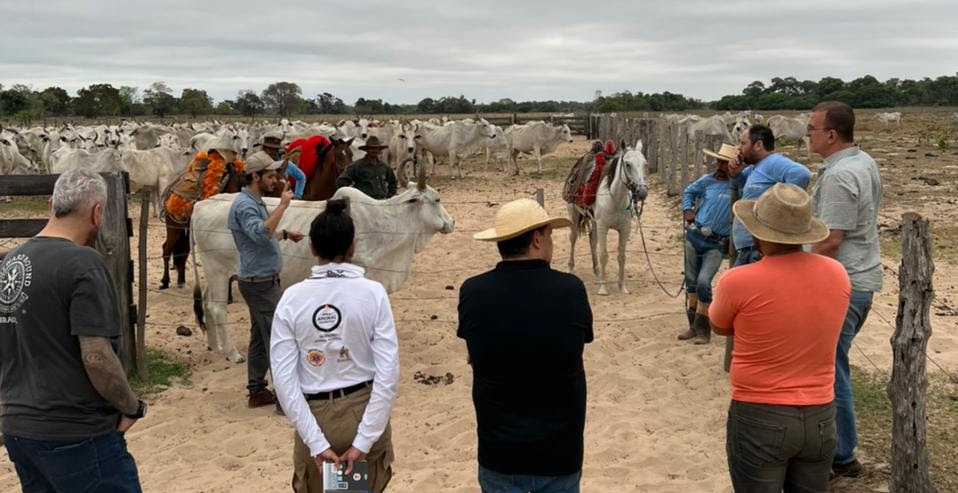MS amplia incentivos para carne orgânica e sustentável