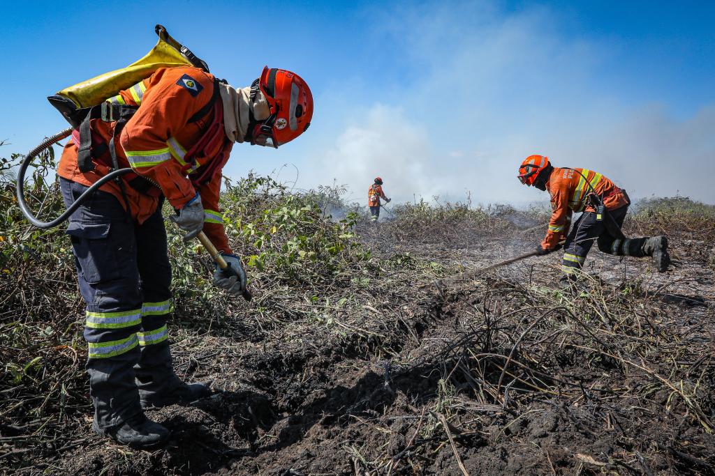 MT decreta emergência ambiental e proíbe uso do fogo