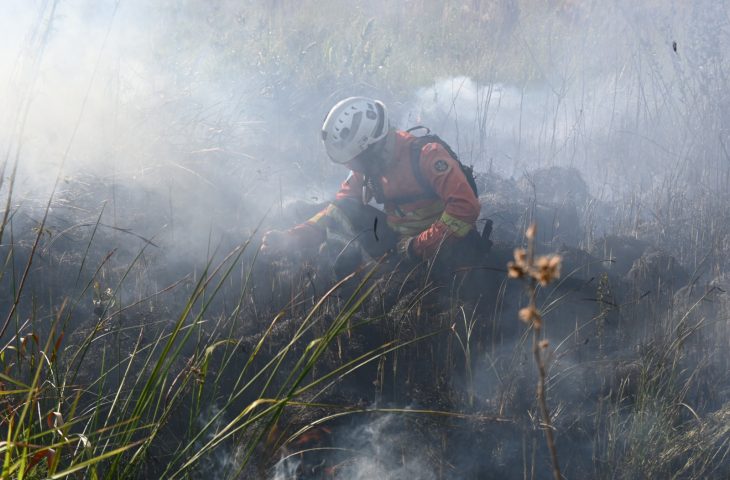MS decreta emergência ambiental para antecipar combate a incêndios