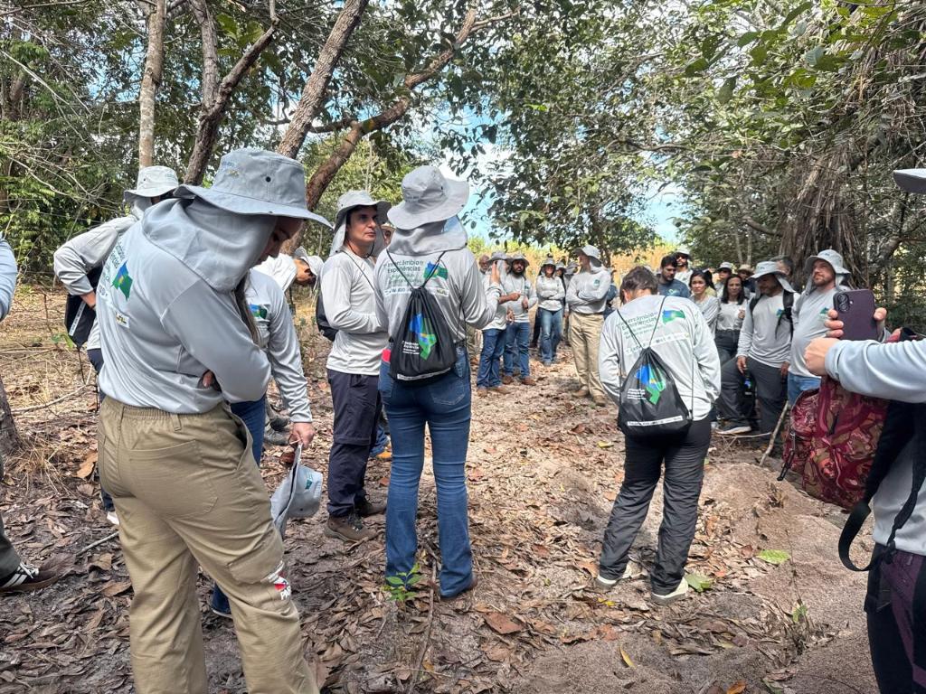 Programa vai recuperar mil hectares no Araguaia até o fim do ano Programa vai recuperar mil hectares no Araguaia até o fim do ano