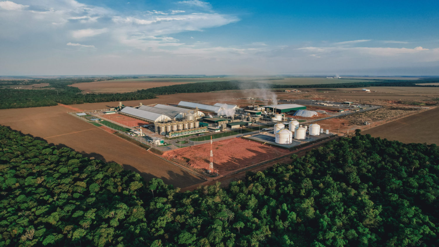 Usina de MT vende 10 mil créditos de carbono para Europa Usina de MT vende 10 mil créditos de carbono para Europa