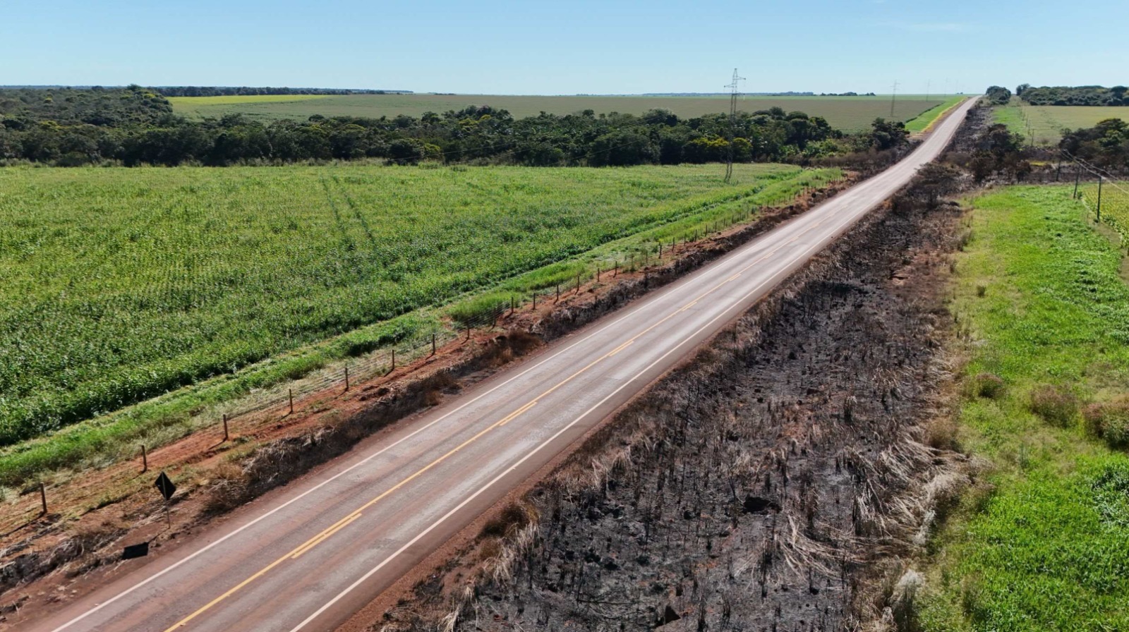 El Niño eleva risco de queimadas: veja como evitar prejuízos legais El Niño eleva risco de queimadas: veja como evitar prejuízos legais