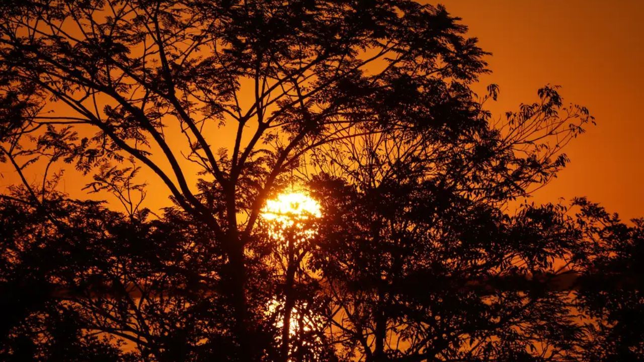 Boletim aponta El Niño muito forte entre a primavera e o verão Boletim aponta El Niño muito forte entre a primavera e o verão
