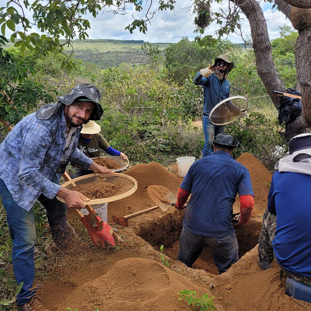 Baru e carbono viram alternativa de renda no pasto do Cerrado